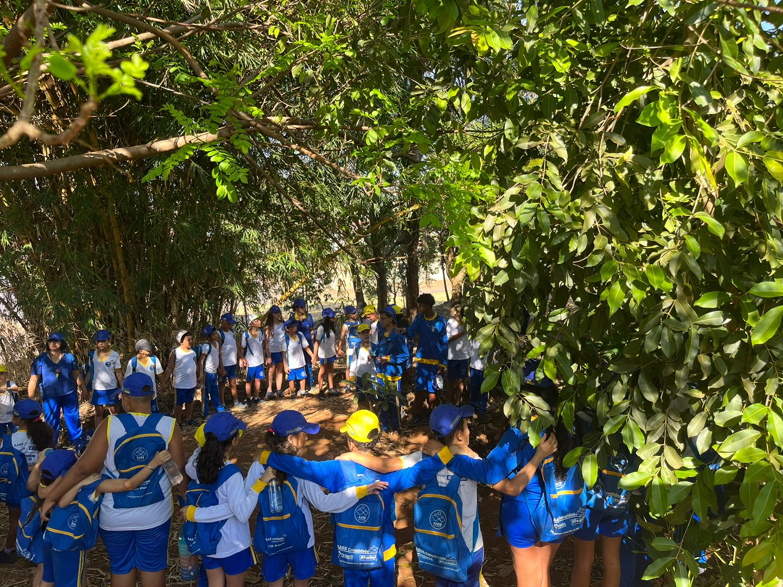 PRESERVAÇÃO: Educandos do AABB Comunidade Patos de Minas realizam atividades para comemorar o Dia da Árvore